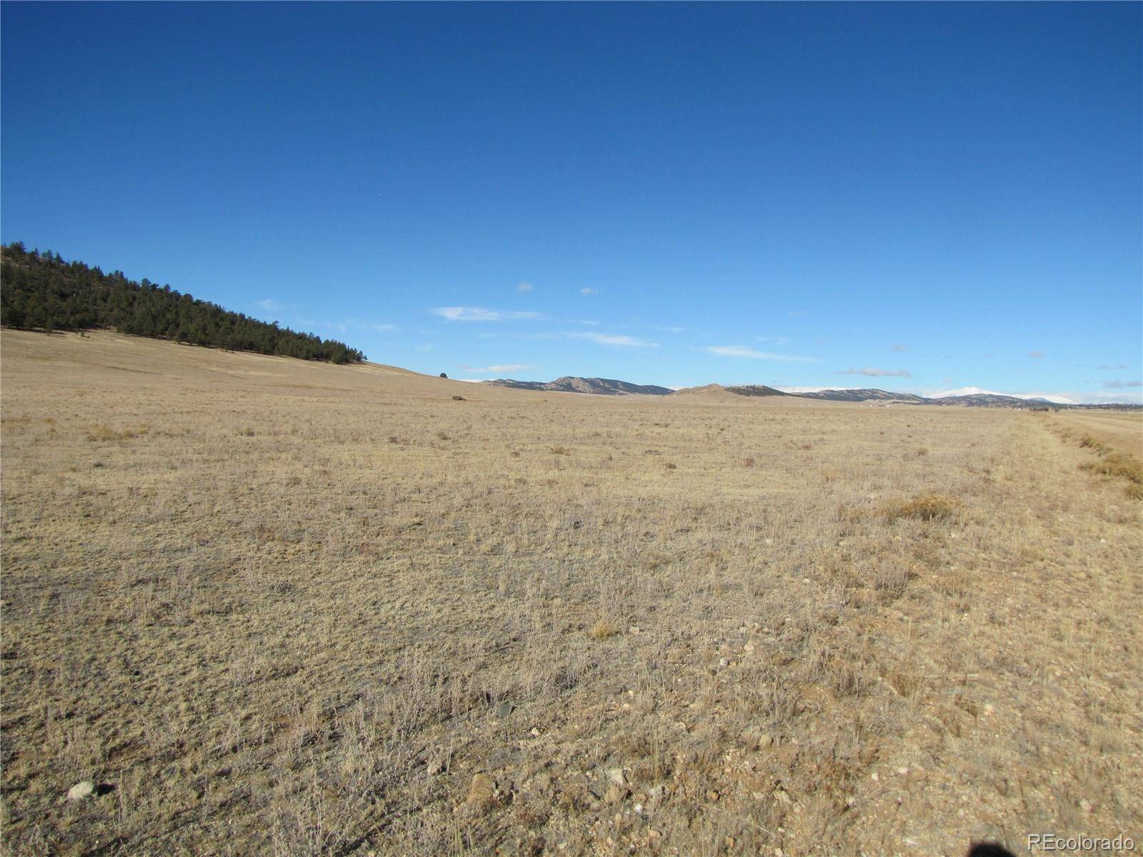 Hartsel, CO 80449,1443 Sulphur Mountain RD