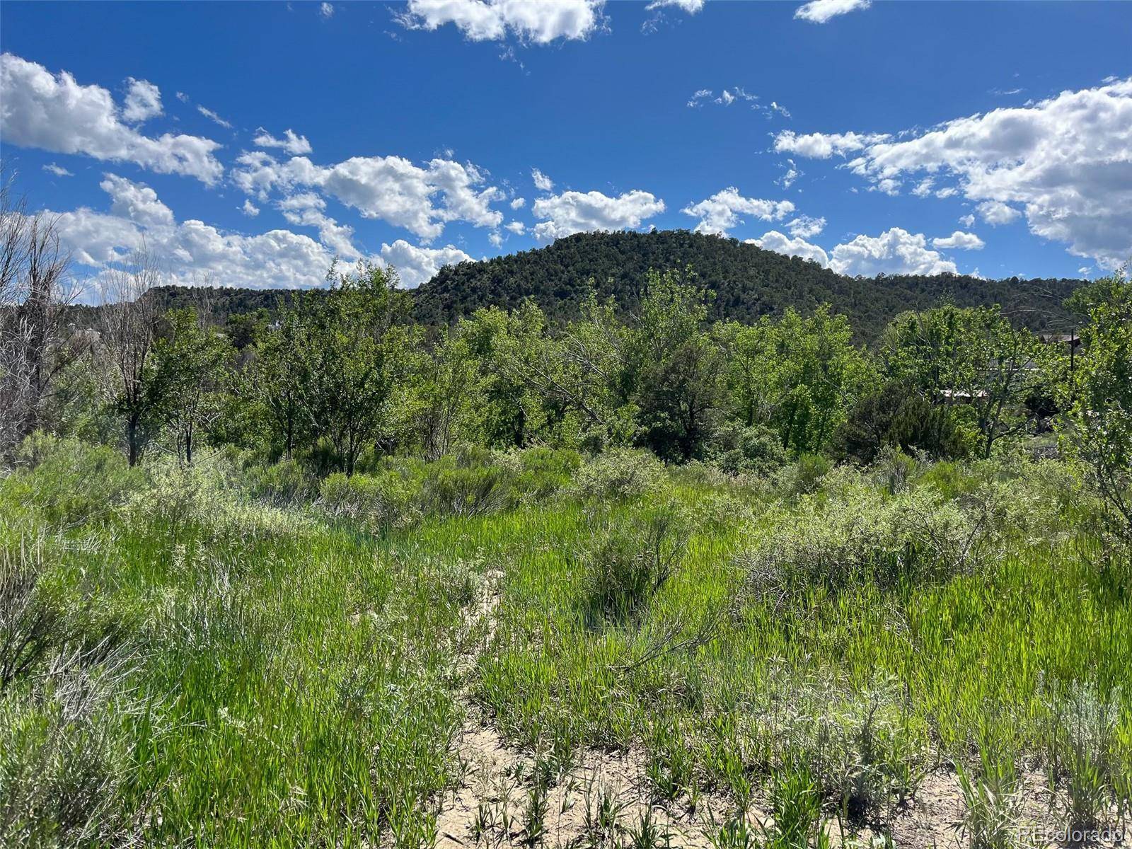 Trinidad, CO 81082,Willow ST
