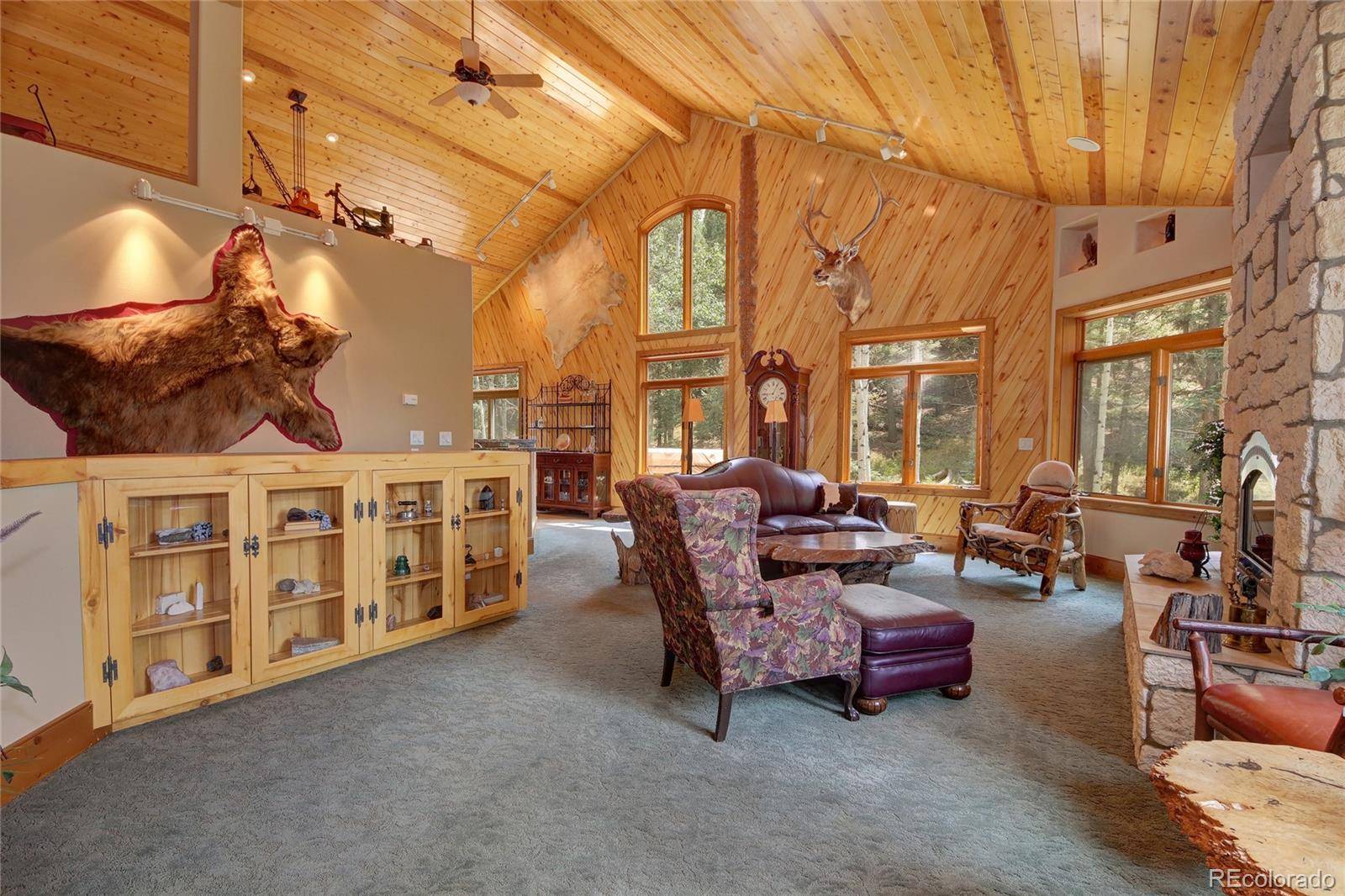 Woodland Park, CO 80863,111 E Lovell Gulch RD