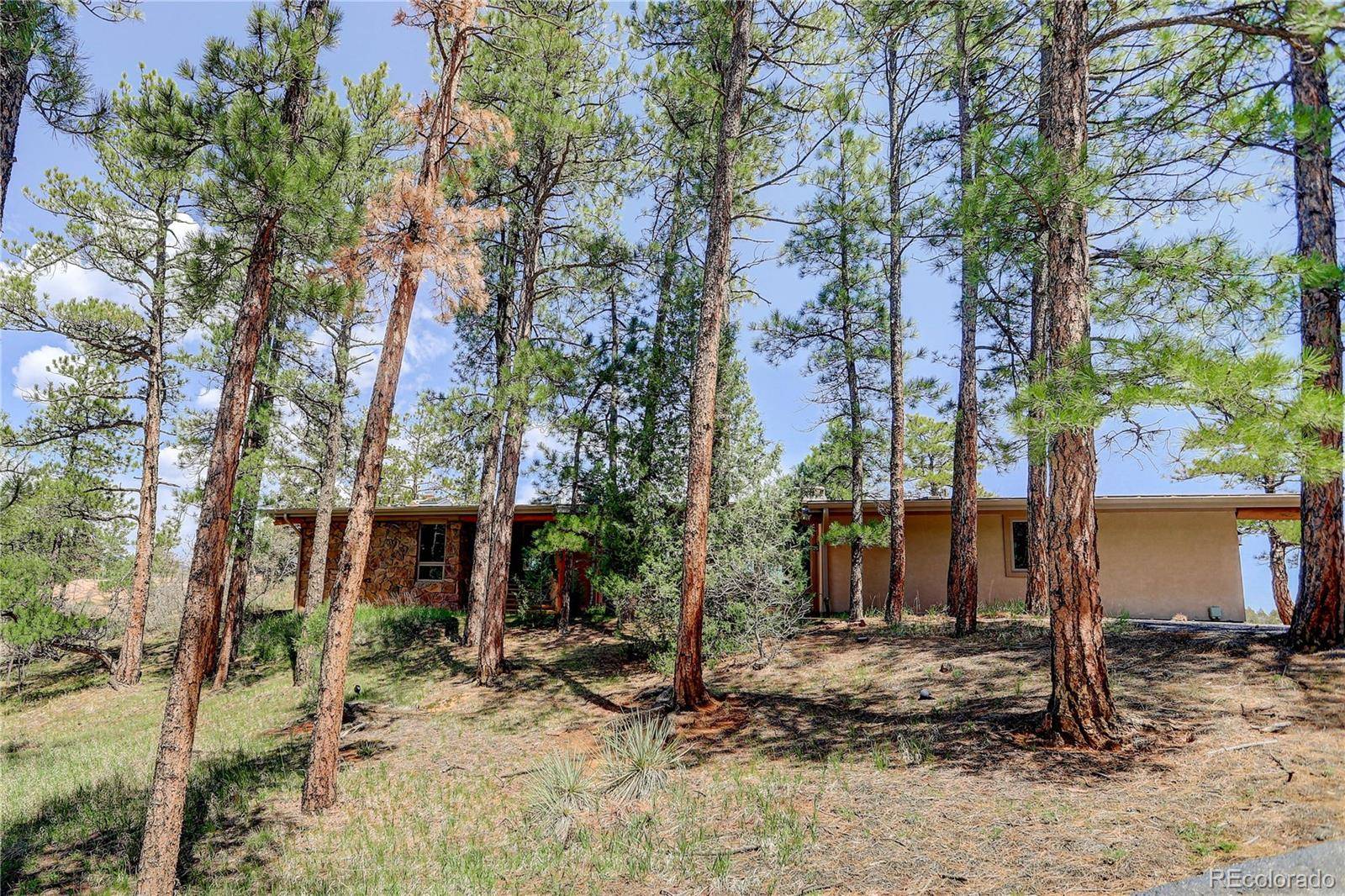 Larkspur, CO 80118,4917 Chippewa DR