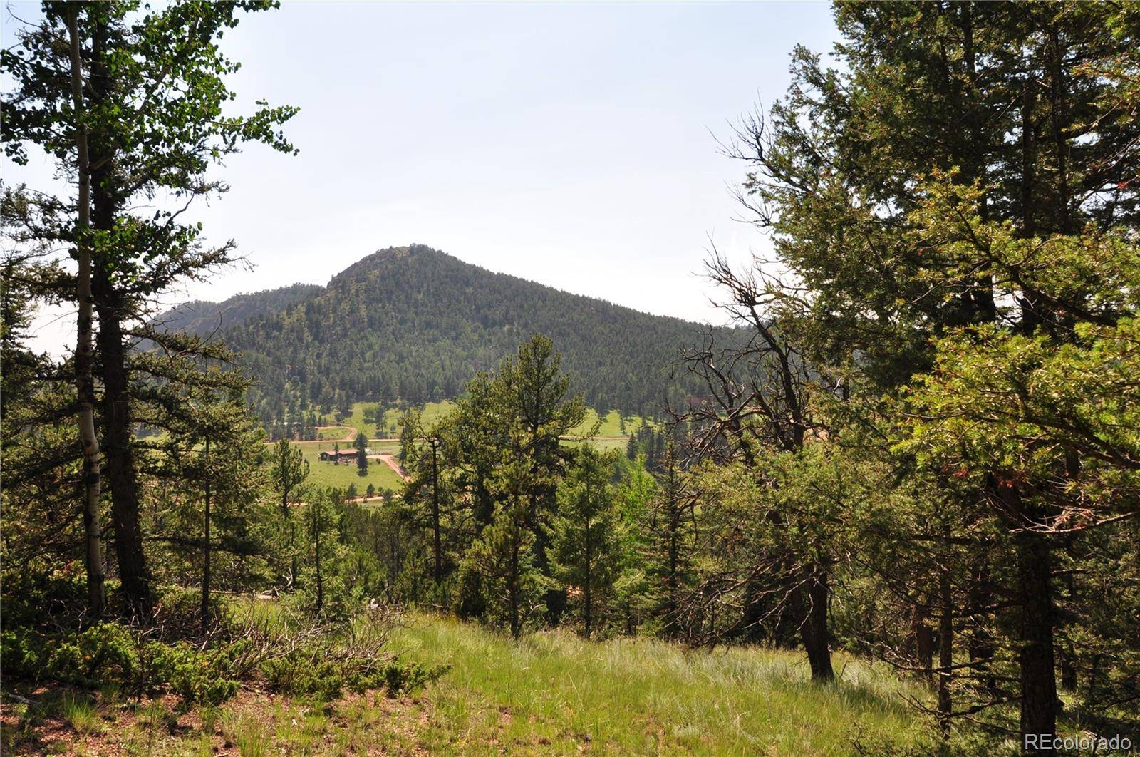 Cripple Creek, CO 80813,63 Midday PL