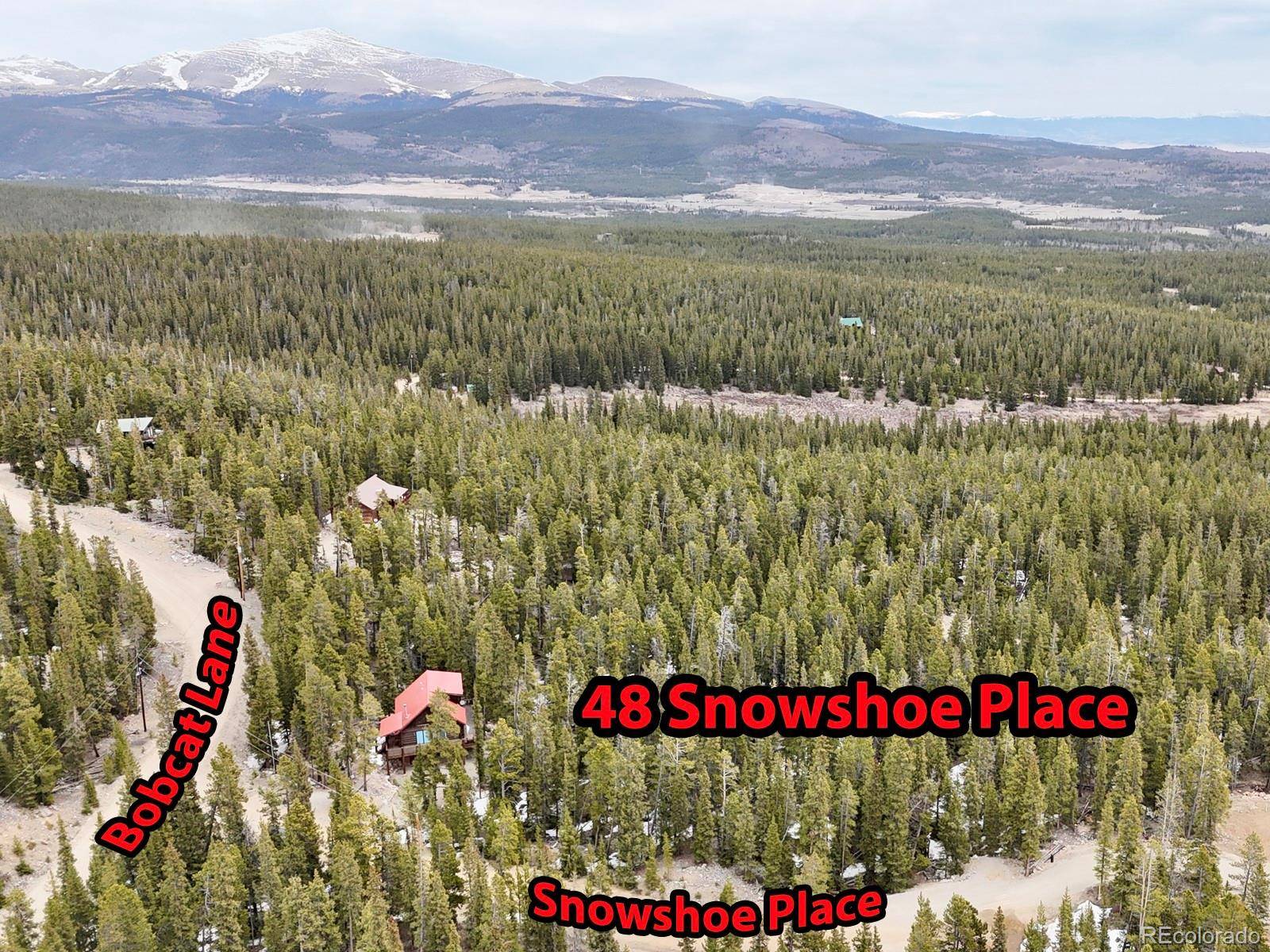Fairplay, CO 80440,48 Snowshoe PL