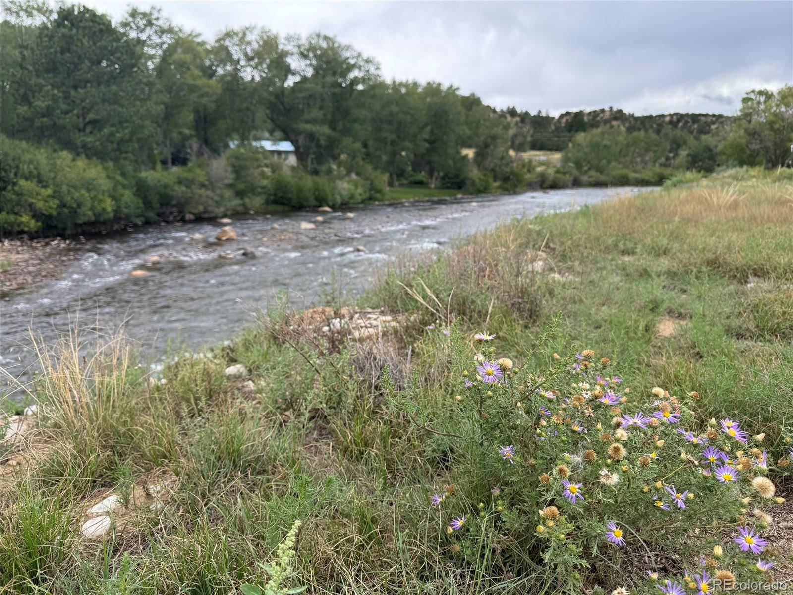 Buena Vista, CO 81211,24277 River Rock LN