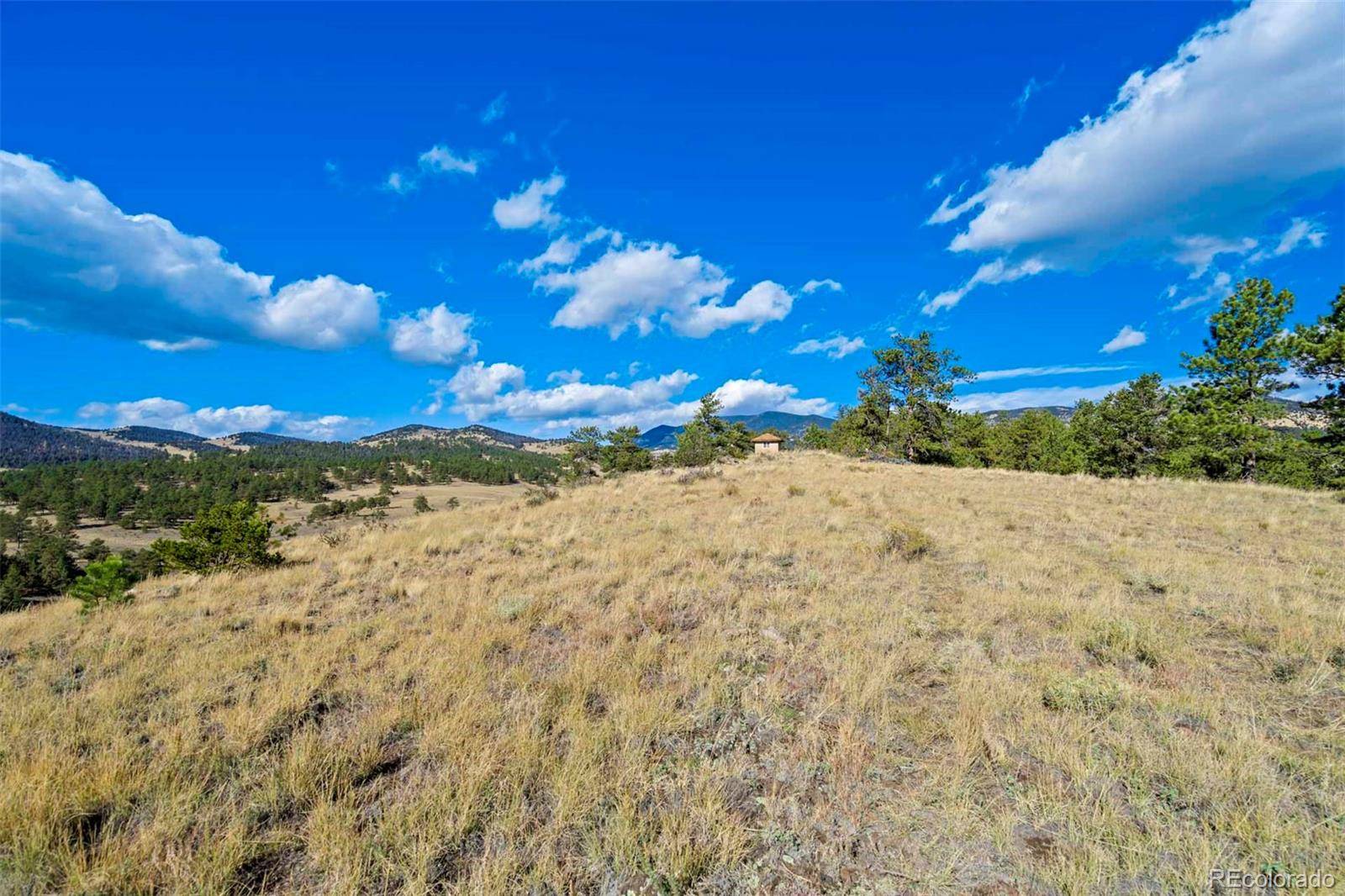 Guffey, CO 80820,455 County Road 132