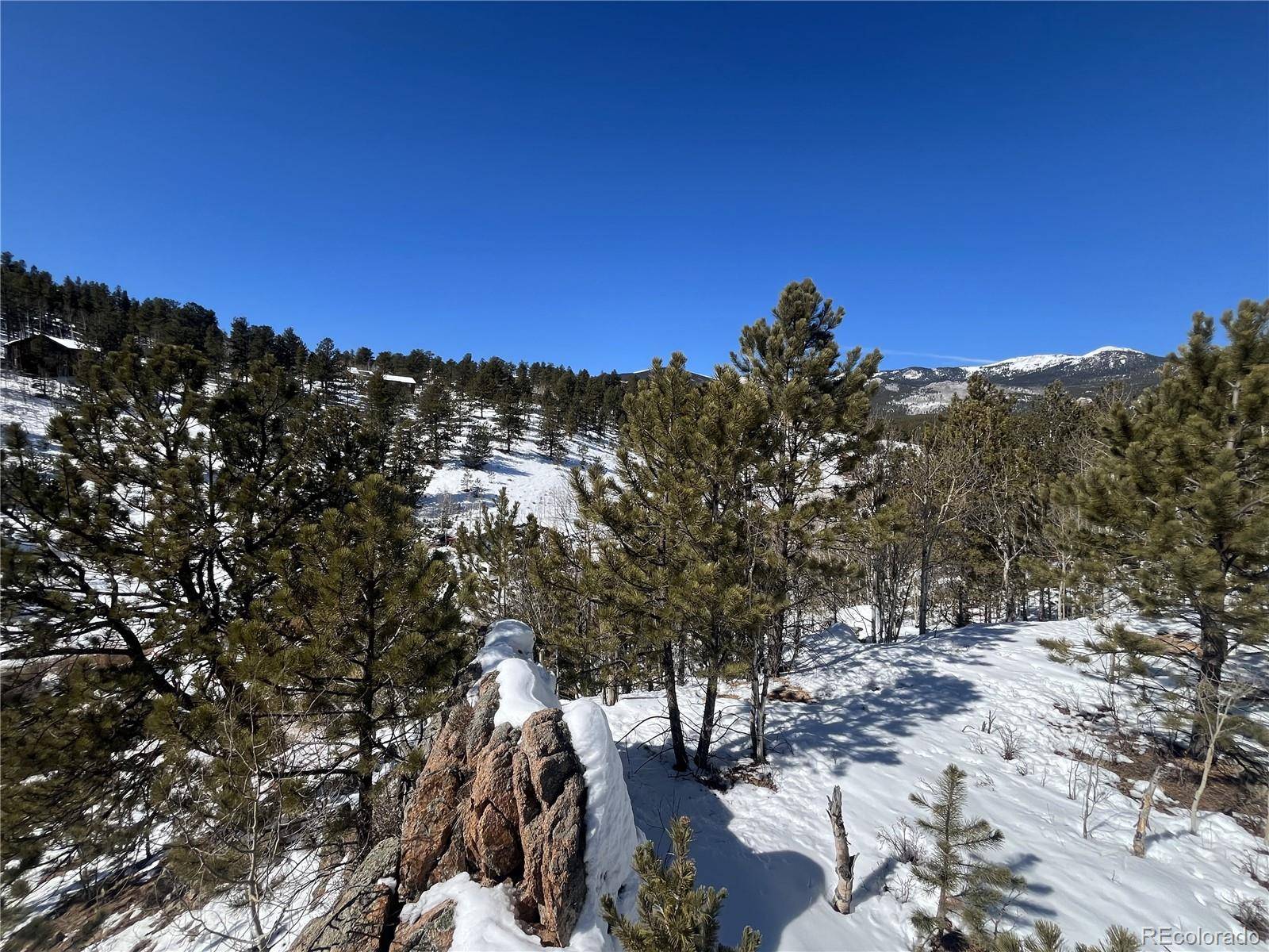 Bailey, CO 80421,381 Neish ST