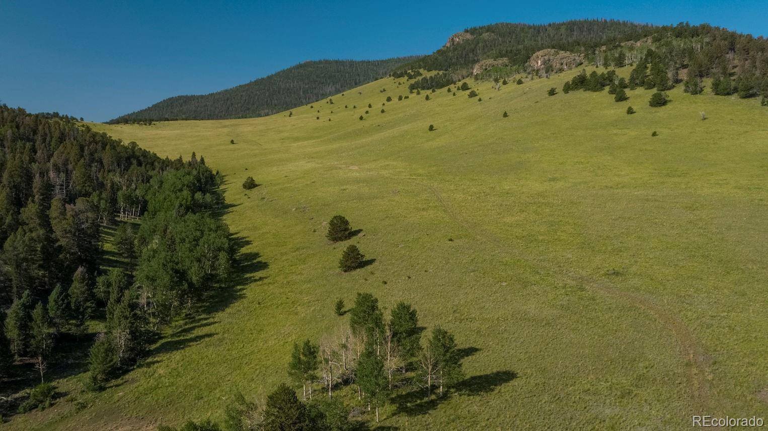 Guffey, CO 80820,000 County Road 100