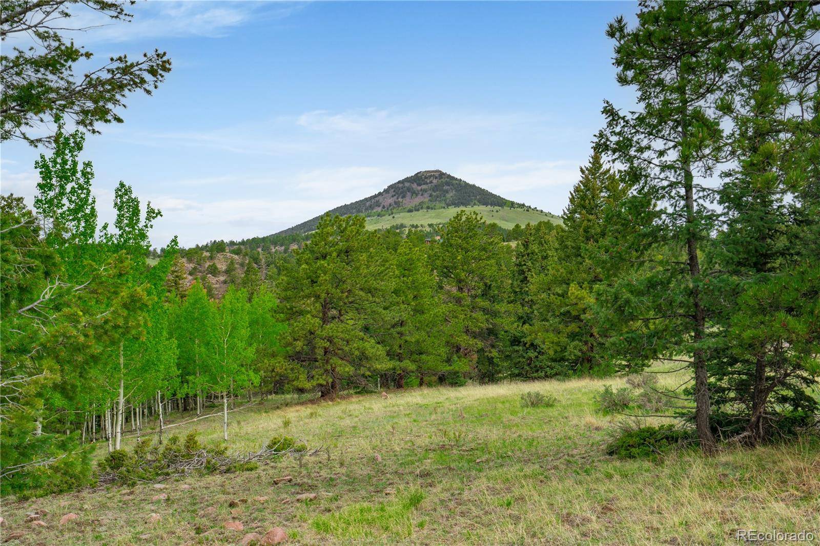 Cripple Creek, CO 80813,333 Stratton CIR