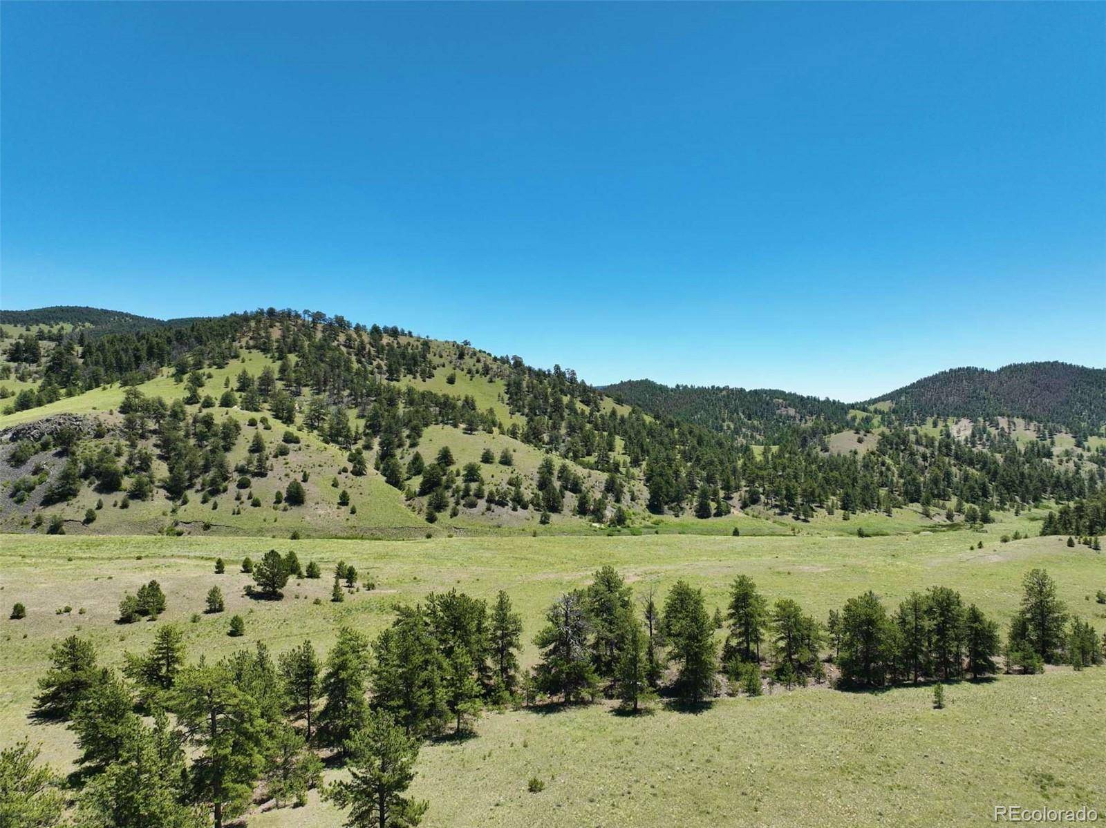 Guffey, CO 80820,00 Elk Mountain RD