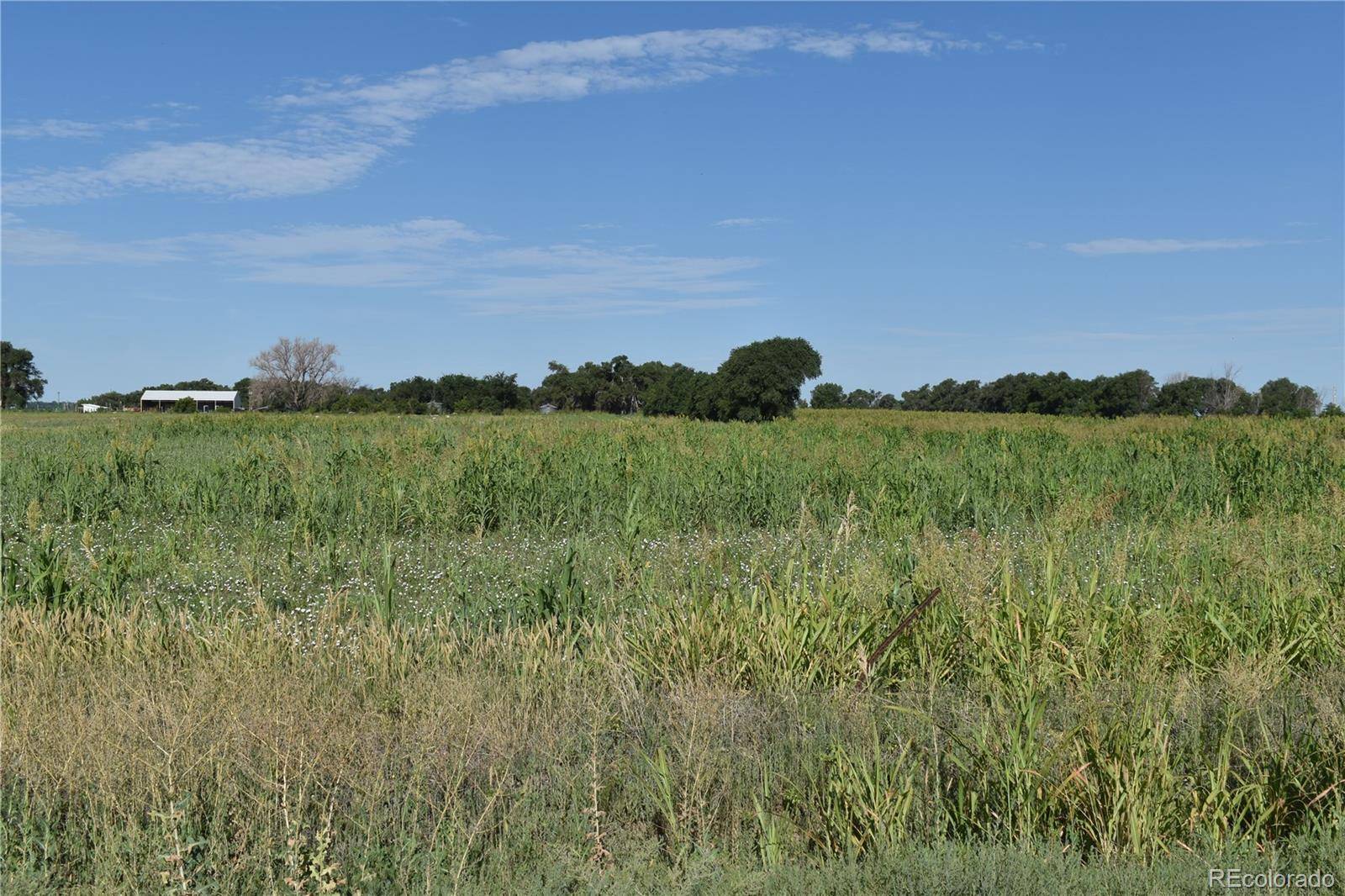 Rocky Ford, CO 81067,21897 266 HWY