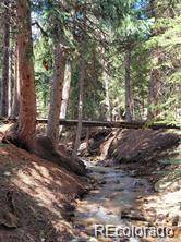 Evergreen, CO 80439,34408 Forest Estates RD