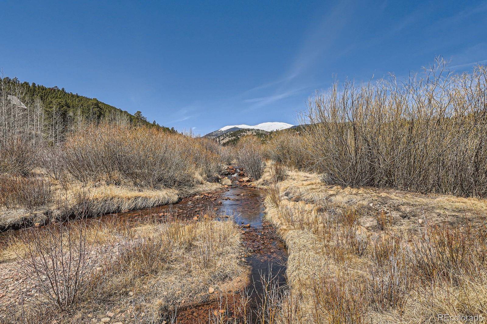 Bailey, CO 80421,44 Forest Ridge CIR