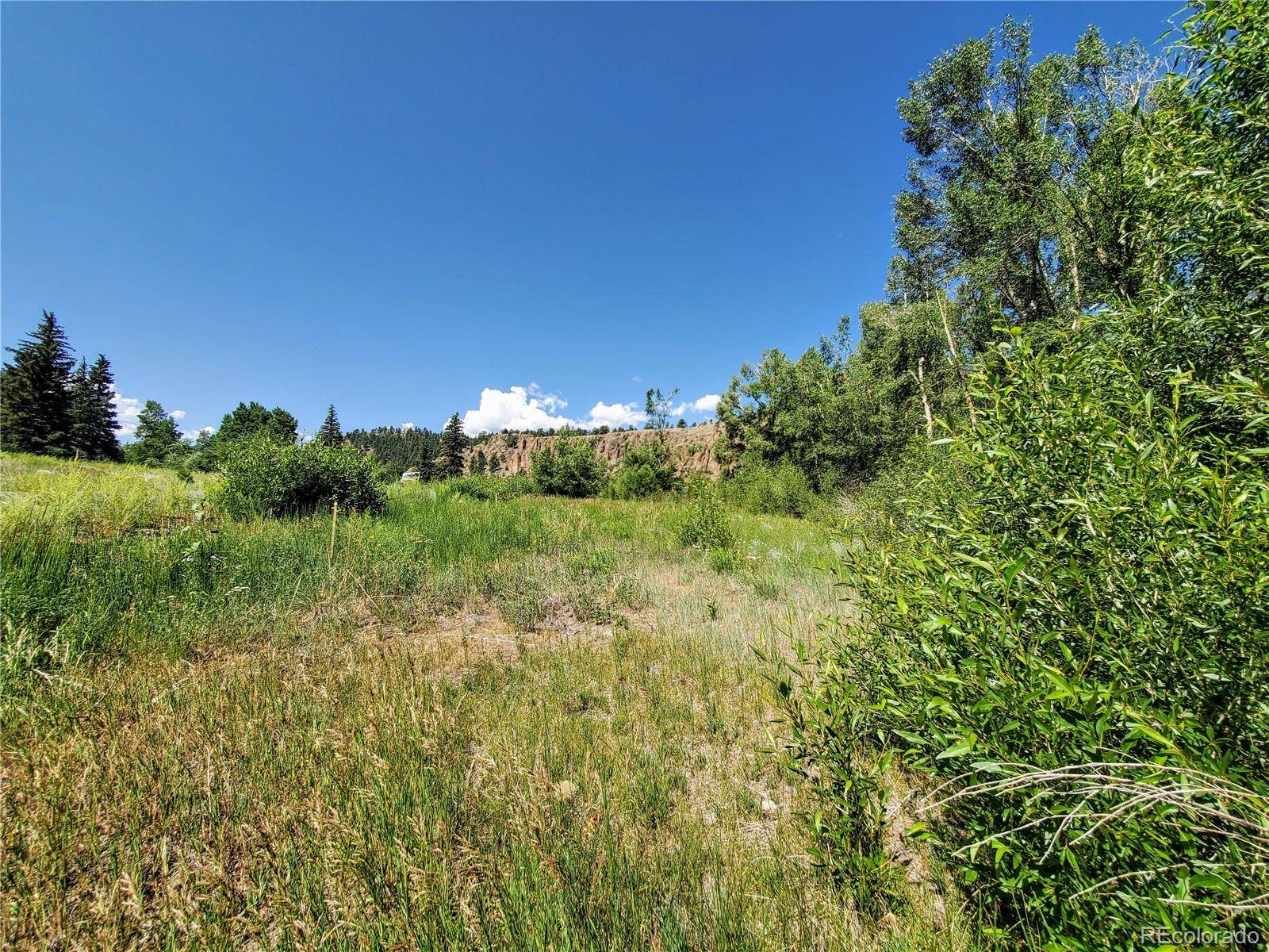 South Fork, CO 81154,149 Escondida DR