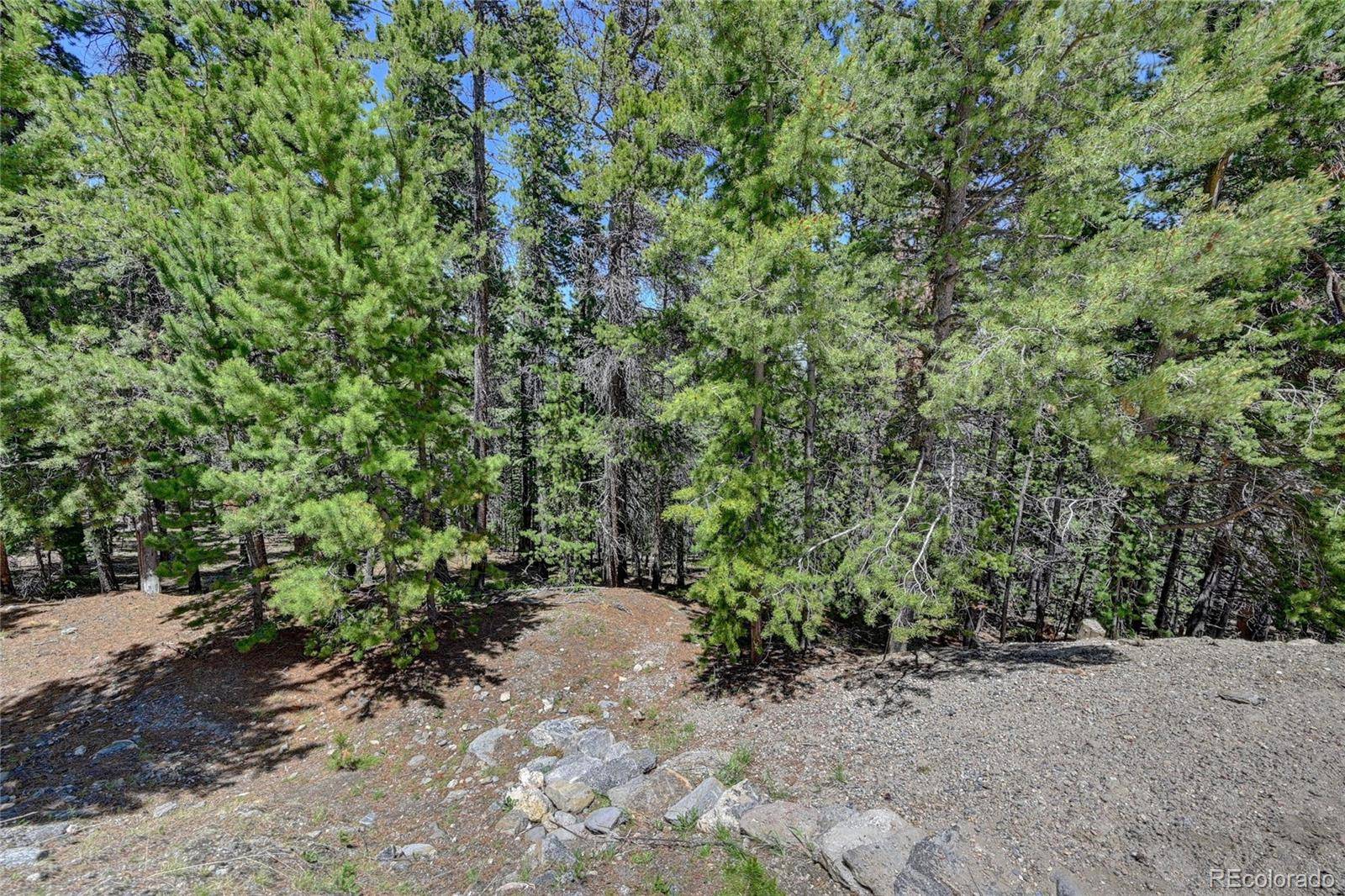 Evergreen, CO 80439,Lodgepole CT