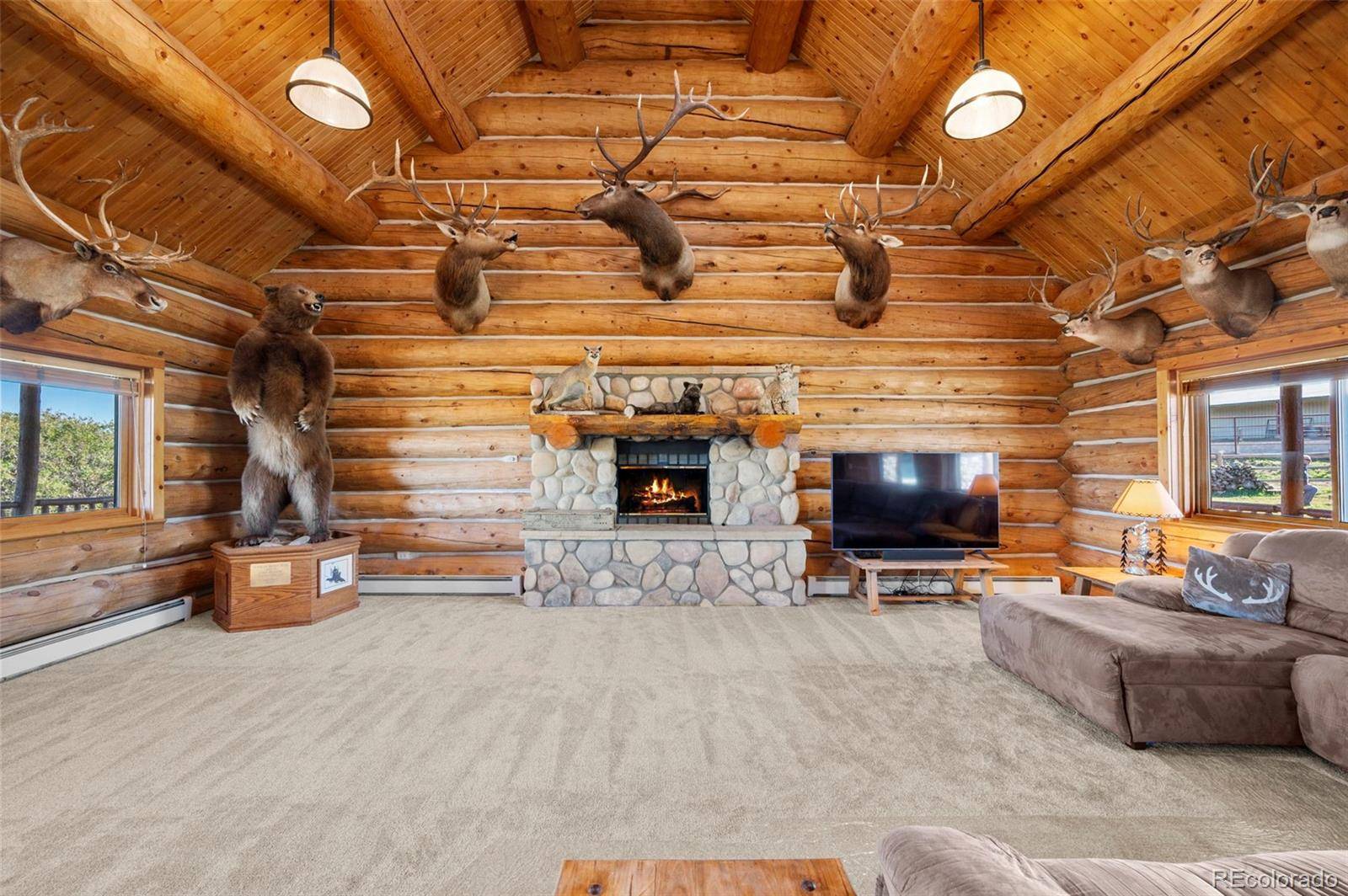 Sedalia, CO 80135,5351 Tall Horse TRL