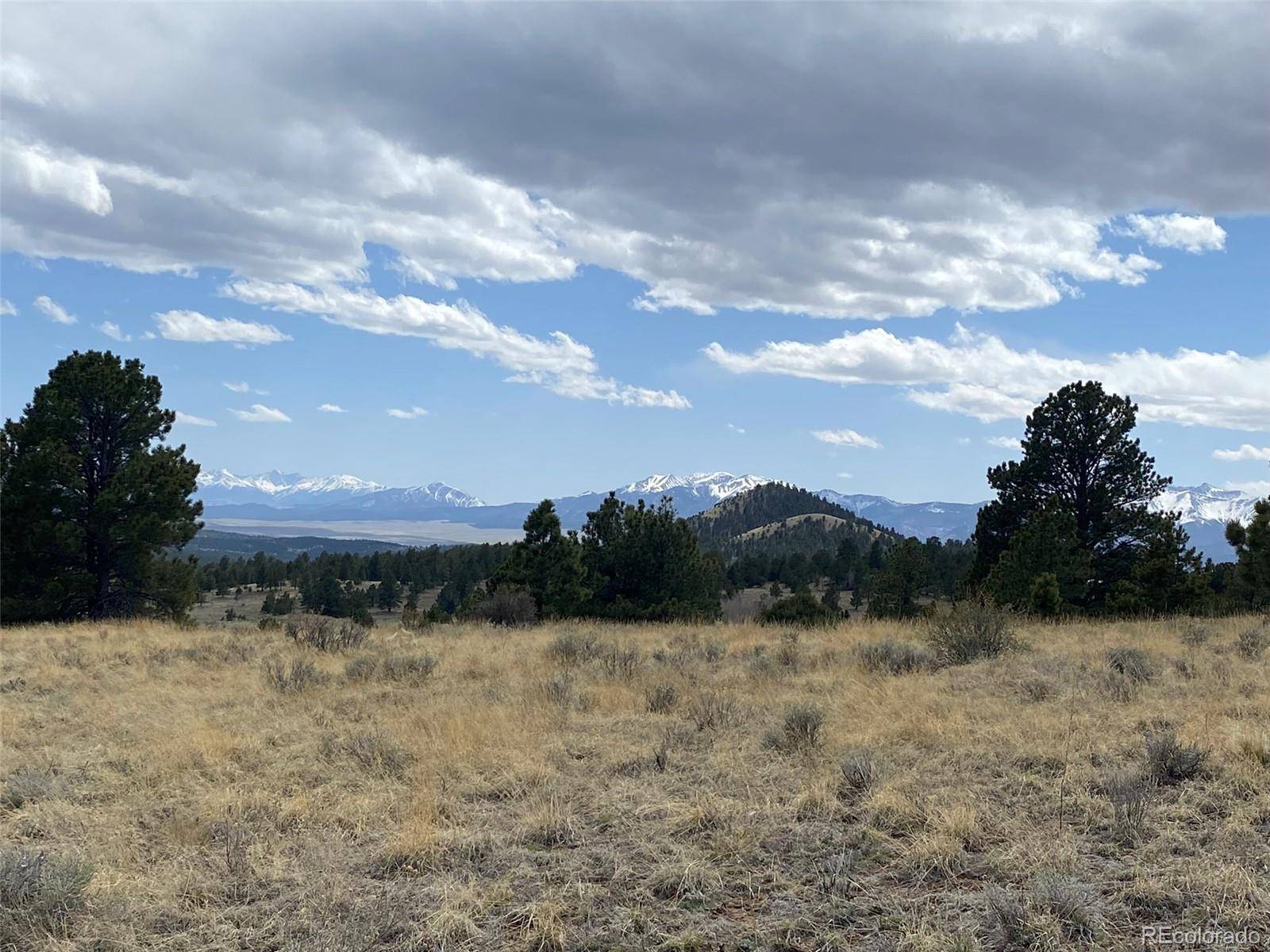 Westcliffe, CO 81252,221 Junkins LOOP