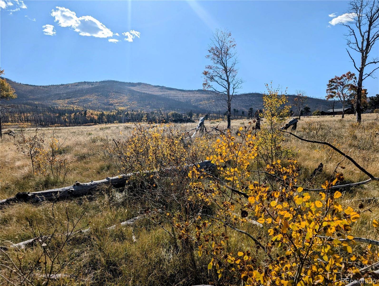 Fort Garland, CO 81133,Lot 1397 Emory LOOP