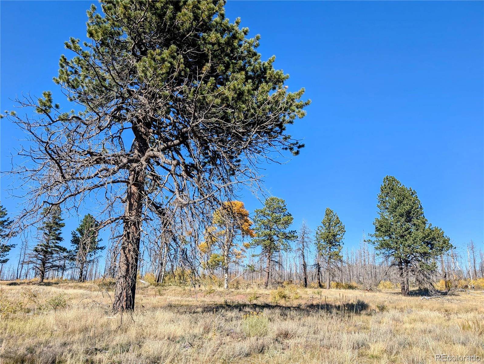 Fort Garland, CO 81133,Lot 1397 Emory LOOP