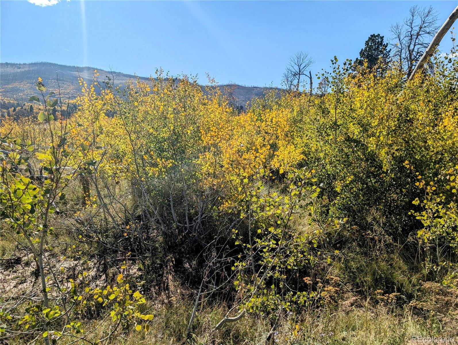 Fort Garland, CO 81133,Lot 1397 Emory LOOP