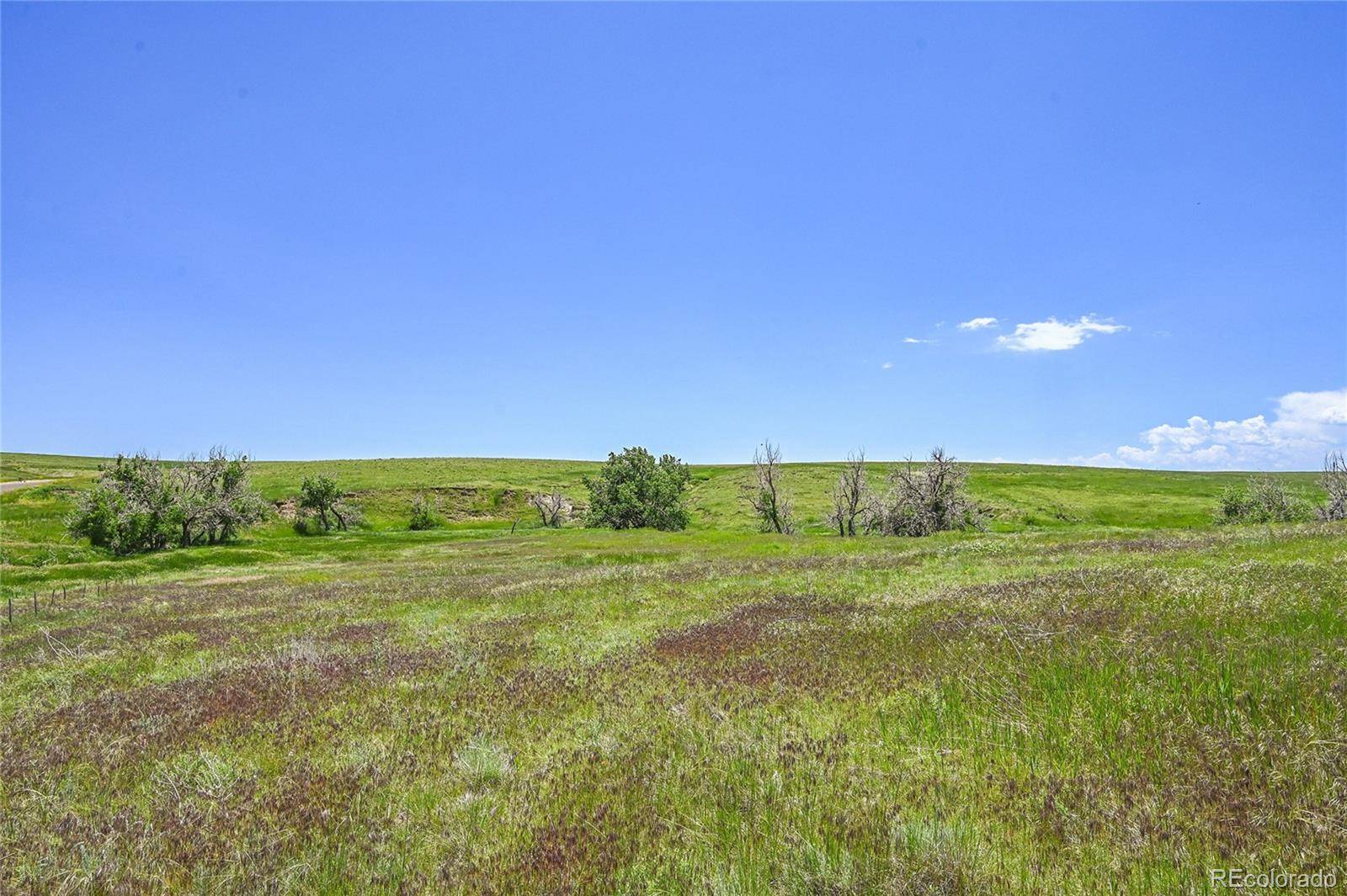 Kiowa, CO 80117,Last Dart RD