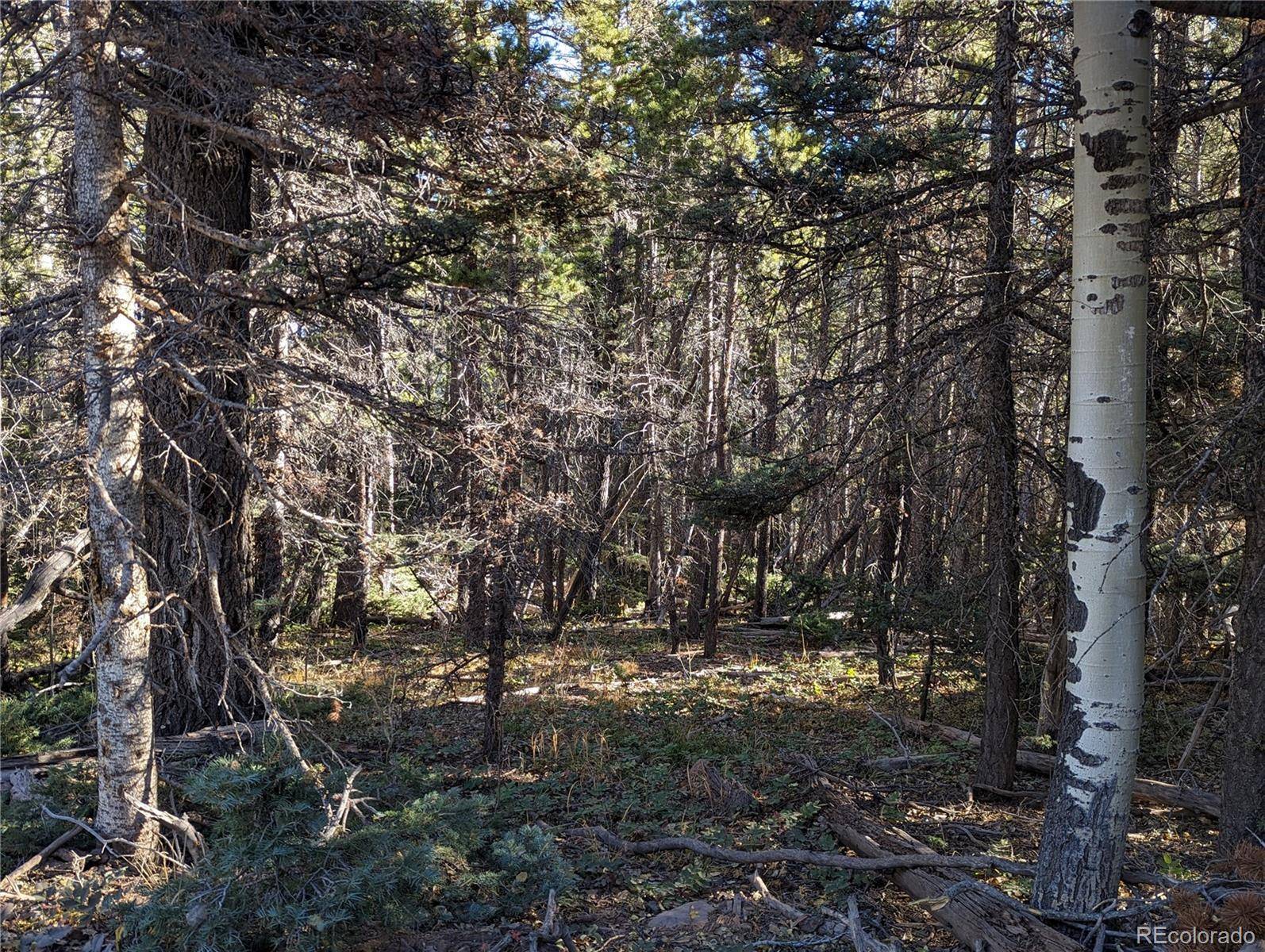 Fort Garland, CO 81133,3067 Forbes Park LOOP