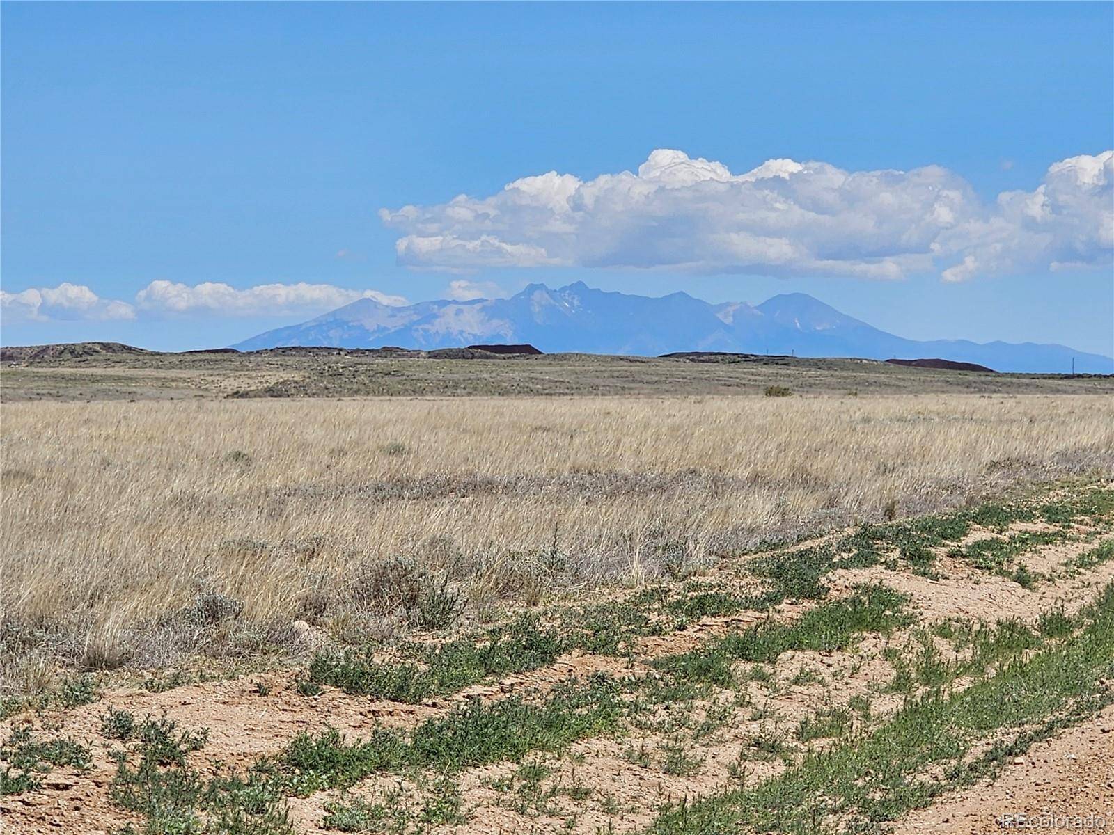 Mesita, CO 81133,000 Umcompahgre CIR