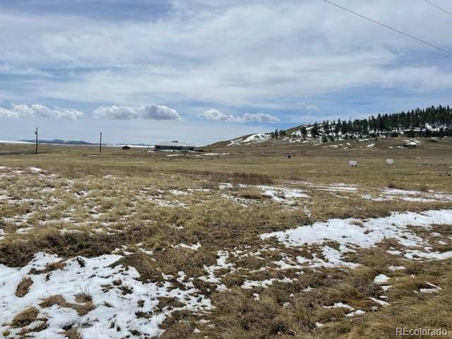 Hartsel, CO 80449,390 Lazy CIR