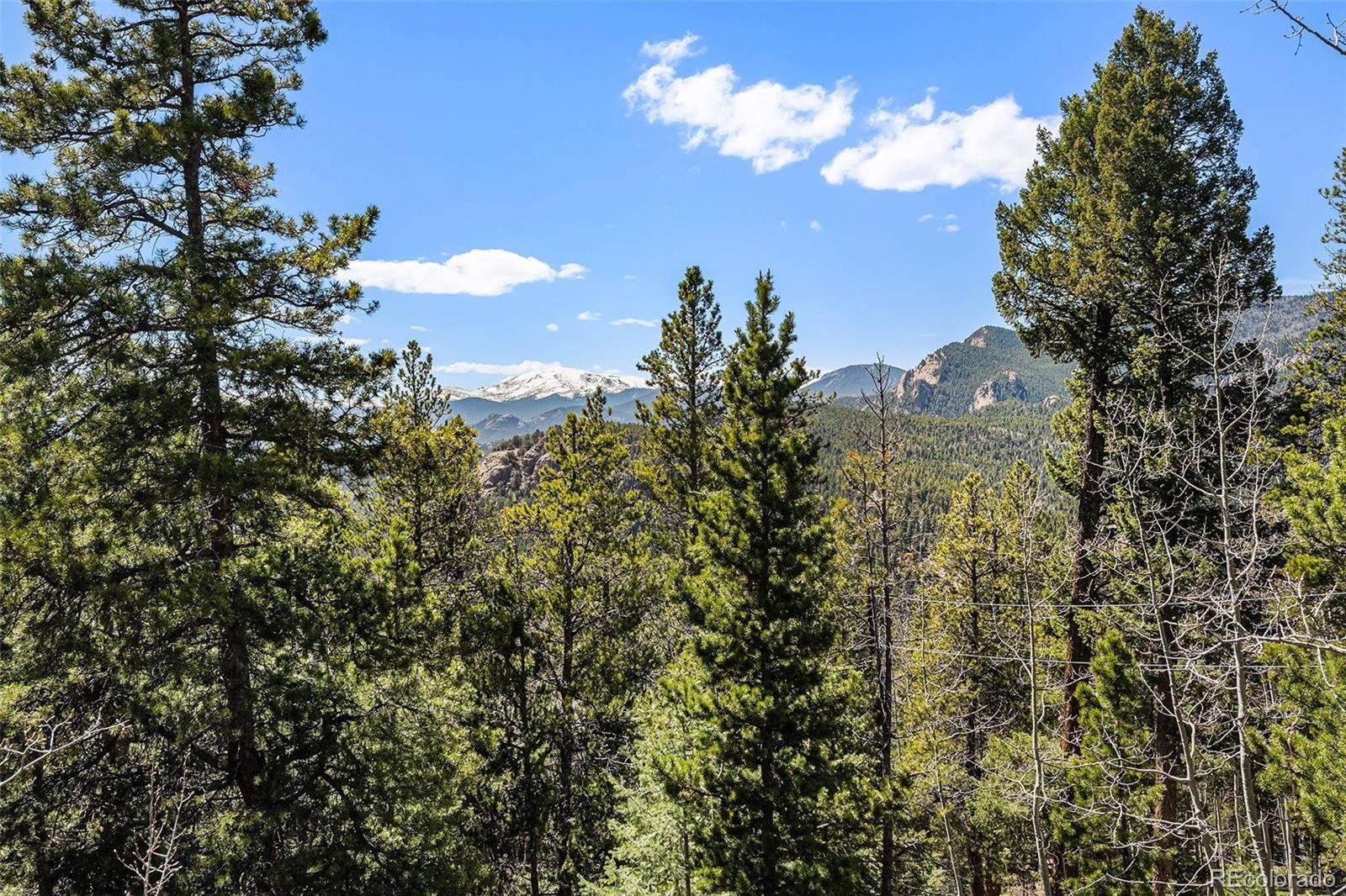 Conifer, CO 80433,11557 Green CIR