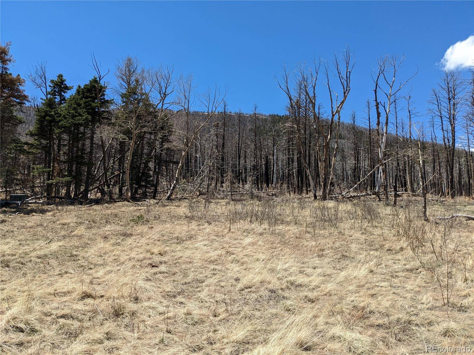 Fort Garland, CO 81133,2056 Forbes Park RD