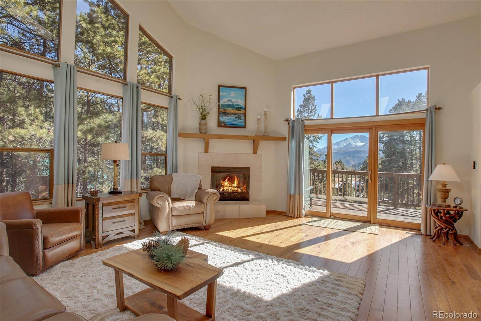 Woodland Park, CO 80863,850 Sun Valley DR