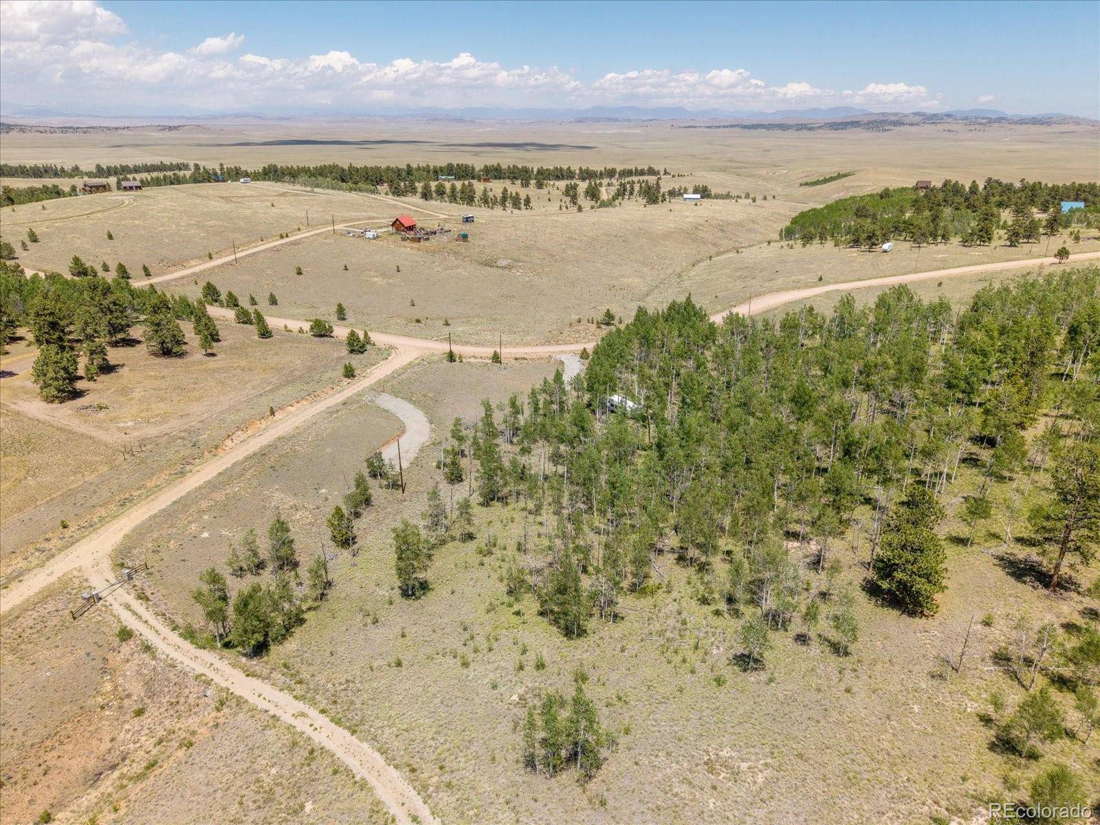 Hartsel, CO 80449,40 Brahma CT