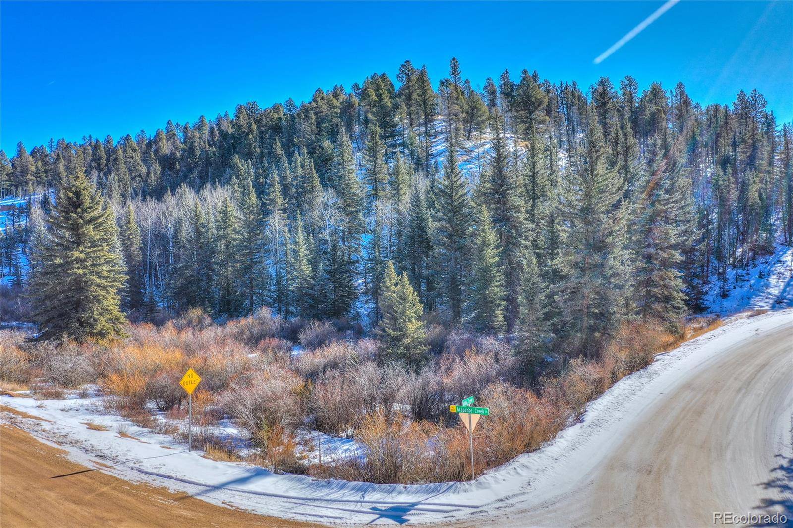 Florissant, CO 80816,276 Rabbil Creek TRL