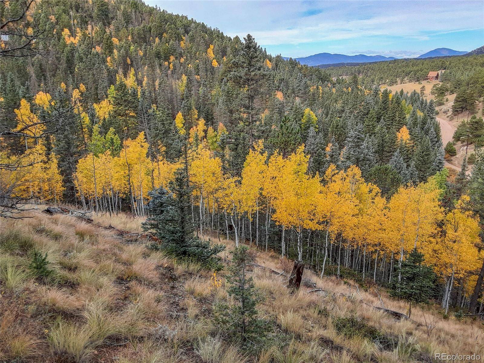 Florissant, CO 80816,276 Rabbil Creek TRL