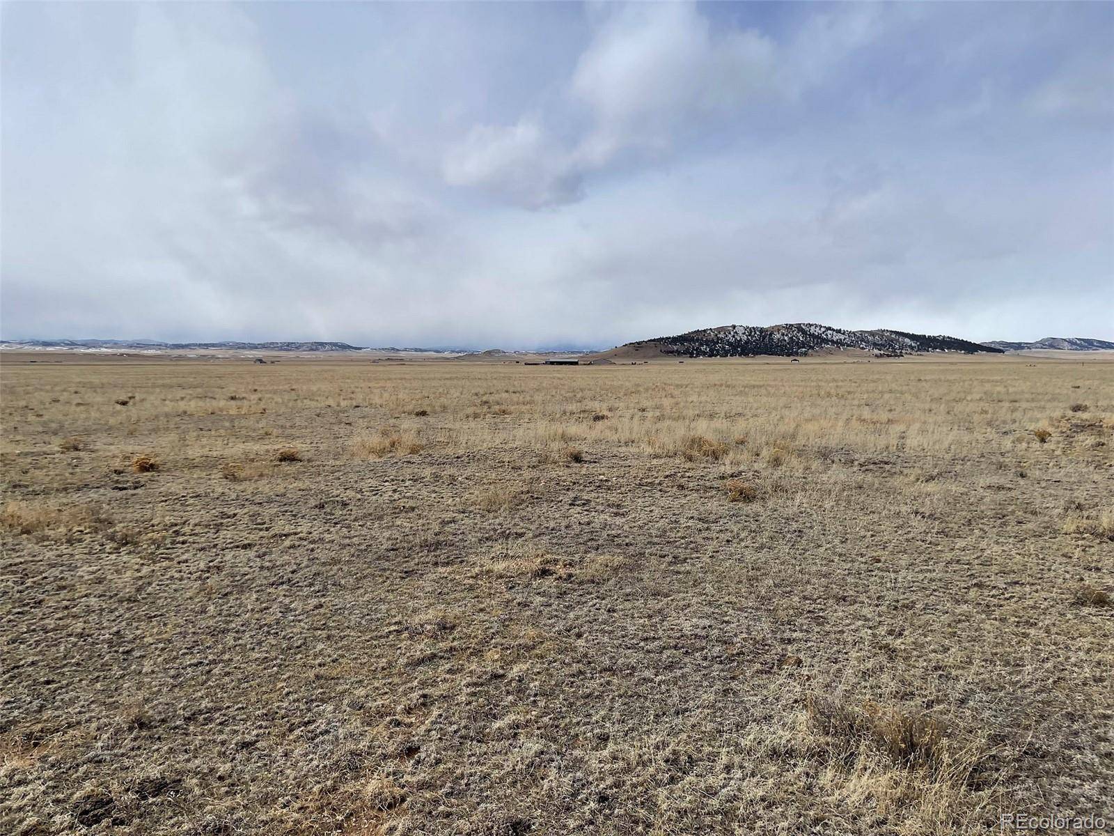 Hartsel, CO 80449,000 Montoya LN