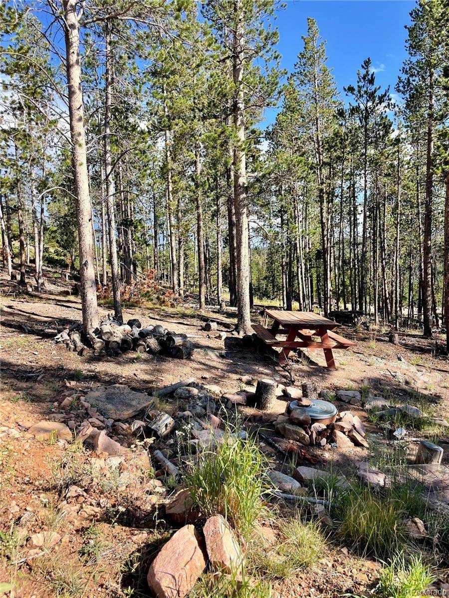 Red Feather Lakes, CO 80545,931 Micmac DR