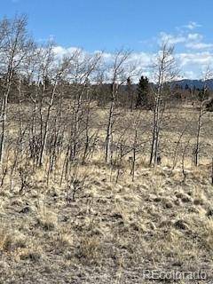 Como, CO 80432,1836 Wampum LN