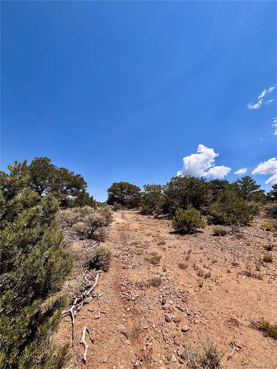 Fort Garland, CO 81133,1134 Jorgulesco RD