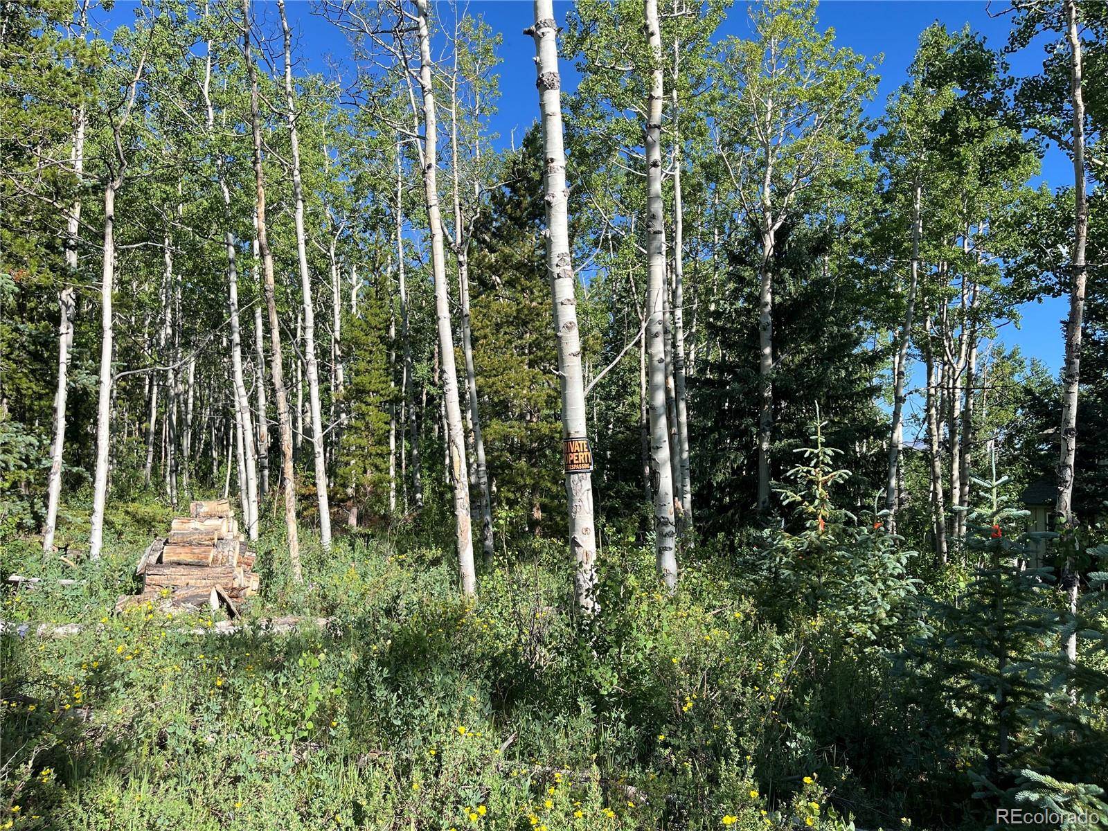 Fairplay, CO 80440,66 Rhodes CT