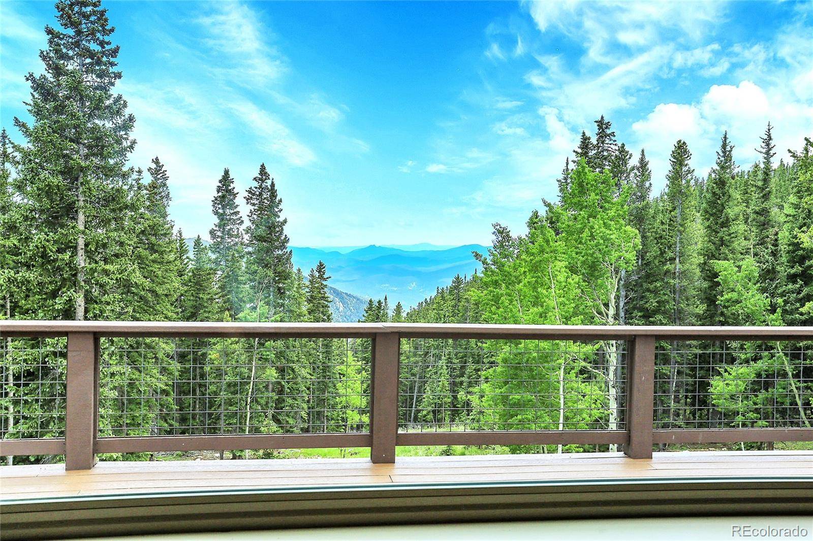 Idaho Springs, CO 80452,1176 Raven Ridge RD