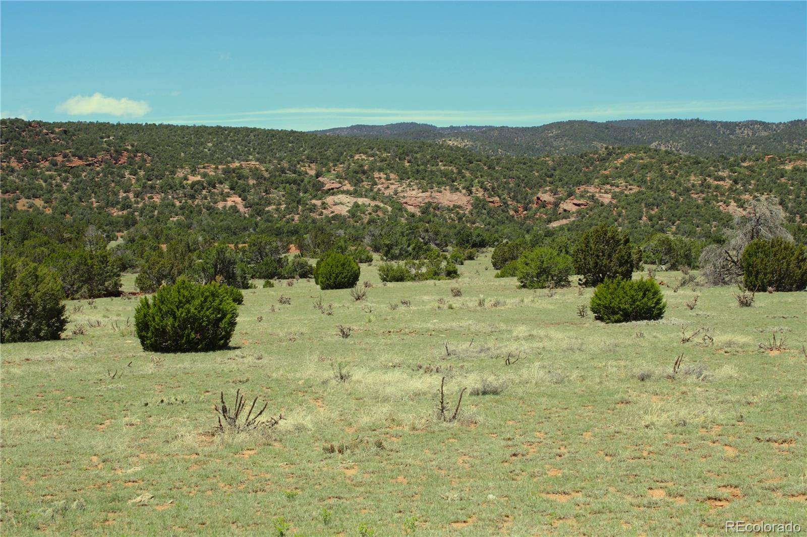 Canon City, CO 81212,Upper Beaver Creek Road