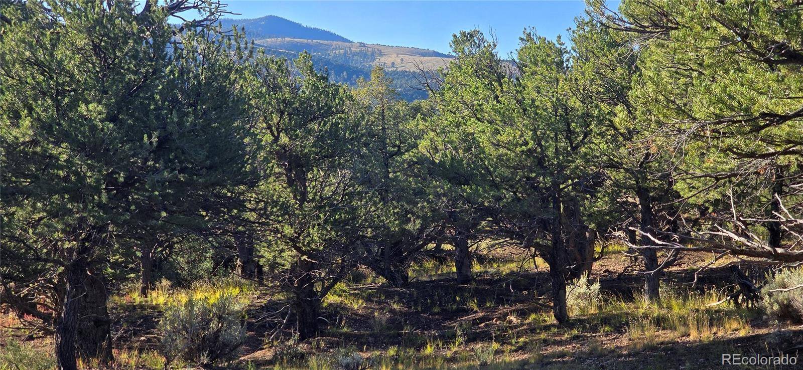 Fort Garland, CO 81133,Lot 7381 Platten RD