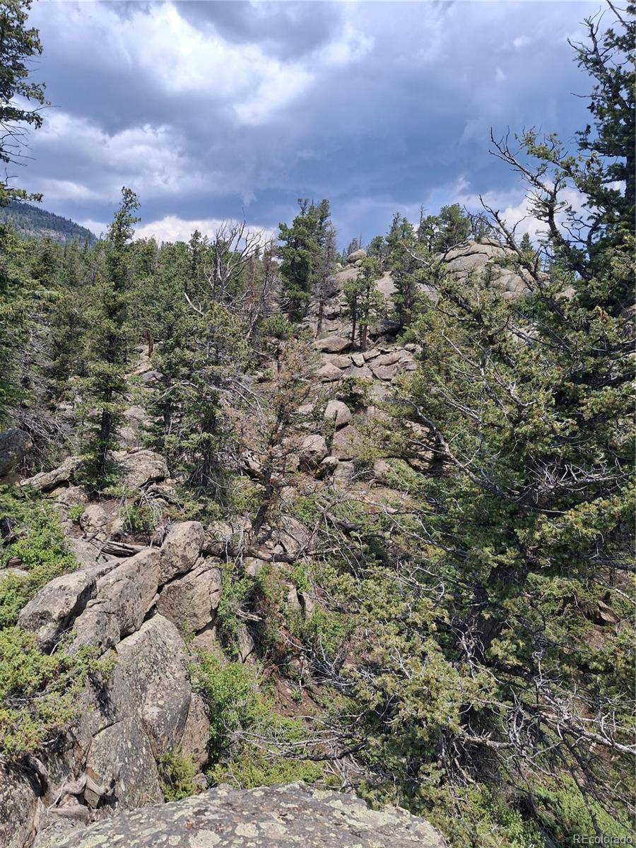 Red Feather Lakes, CO 80545,865 Okmulgee CIR