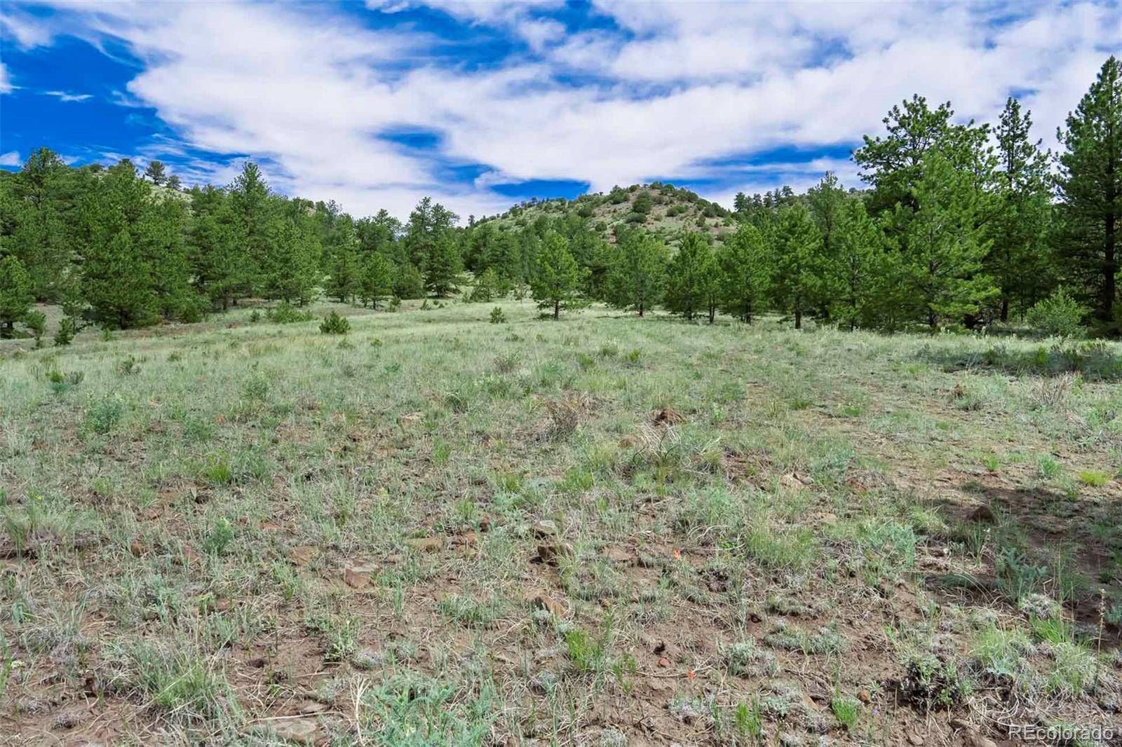 Guffey, CO 80820,Tract 8 County Road 102