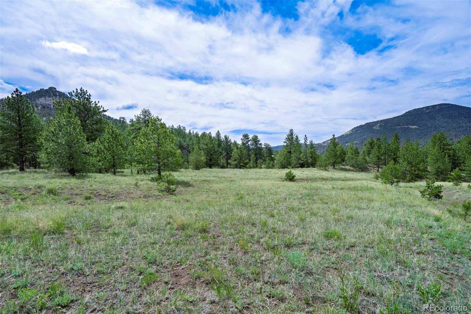 Guffey, CO 80820,Tract 8 County Road 102