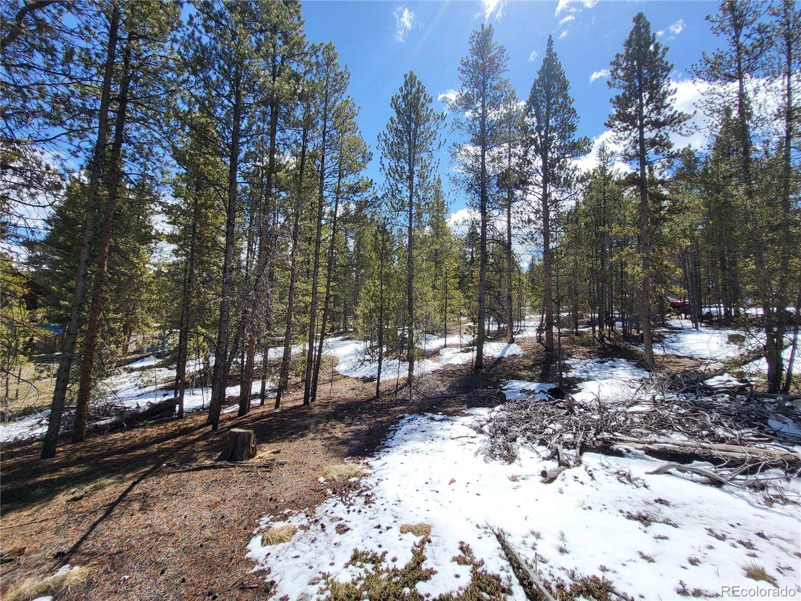 Twin Lakes, CO 81251,85 Hemlock DR