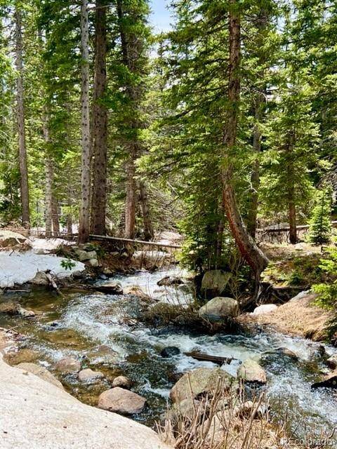 Idaho Springs, CO 80452,43 Brook DR