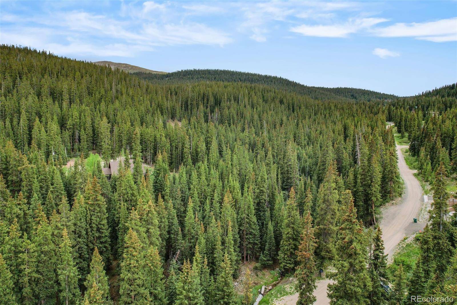 Breckenridge, CO 80424,286 CTY Road 675