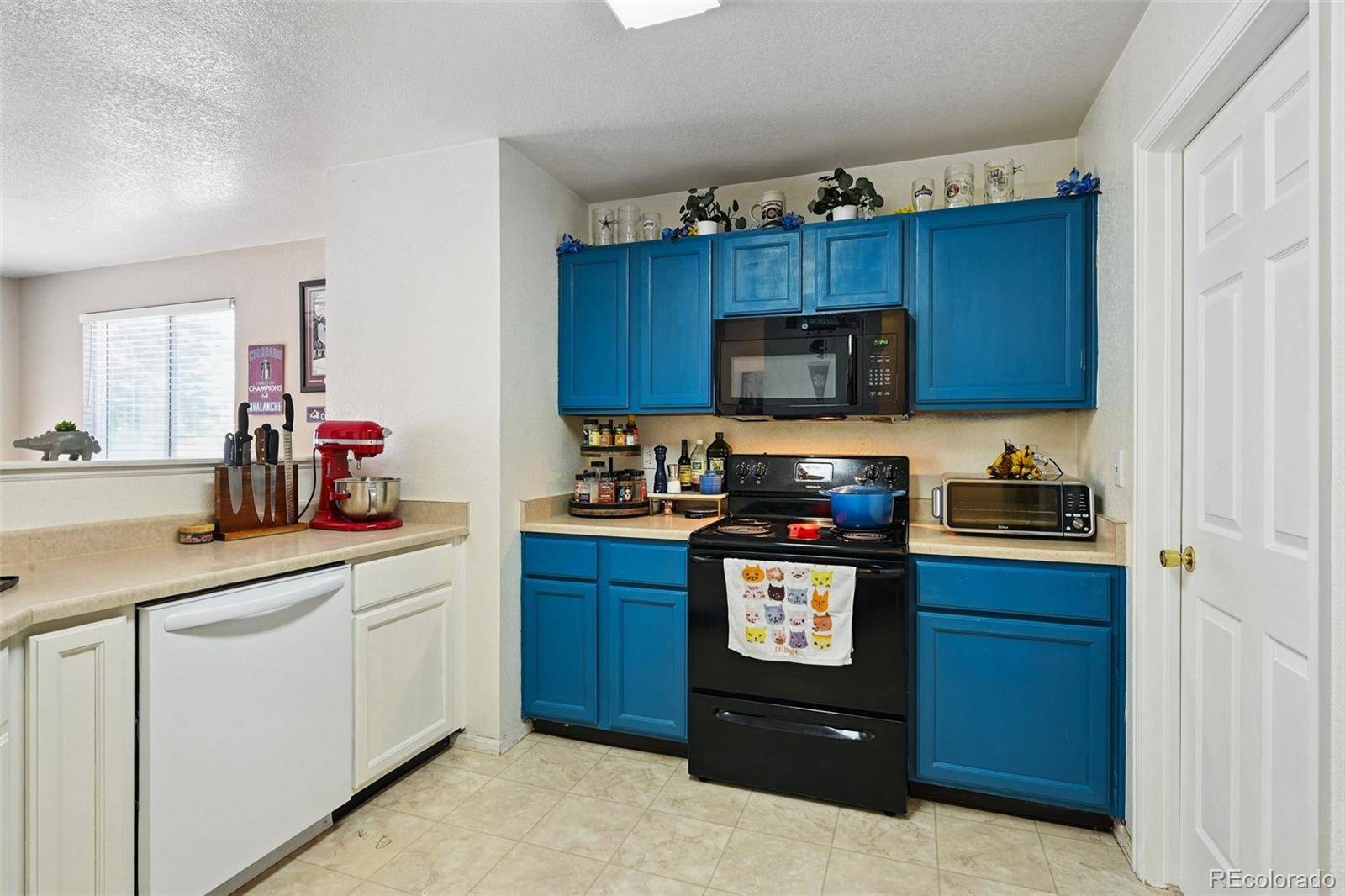 Thornton, CO 80229,10223 Vine CT