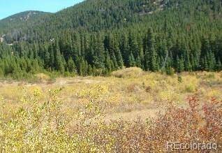 Idaho Springs, CO 80452,Lot 39 Silver Creek RD