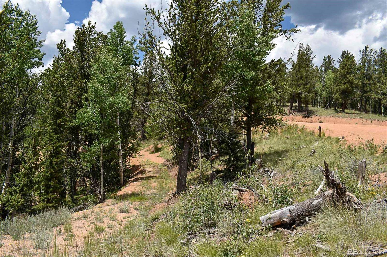 Cripple Creek, CO 80813,110 Brown Bear LN