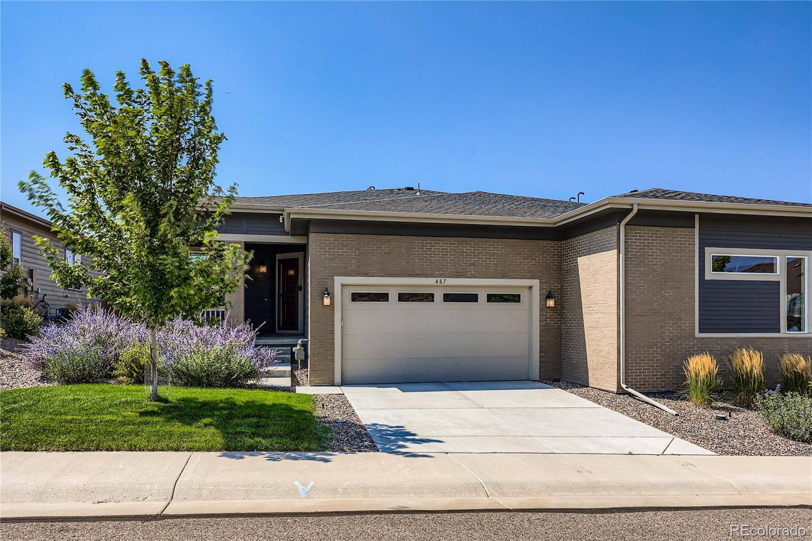 Castle Rock, CO 80104,487 Hideaway CT